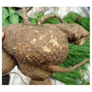 aakasa kilangu