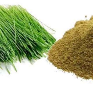 arukam pul, Cynodon dactylon powder
