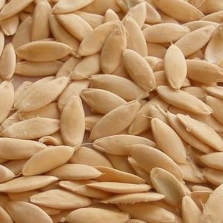 cucumber seeds