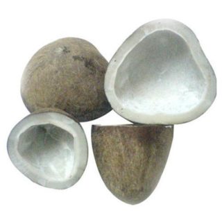 dry coconut, kopparai thenkai