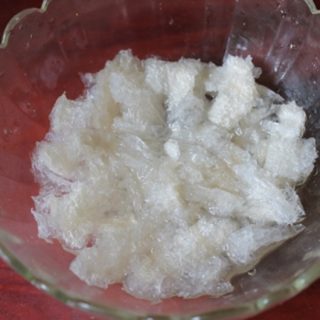 kadal passi, sea moss