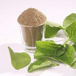 karpooravalli, Coleus amboinicus powder