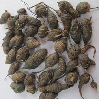 koraikilangu