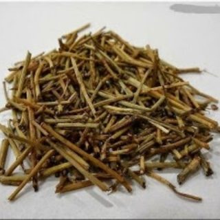 kurunthotti, Sida cordifolia root