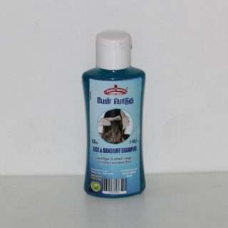 siusty lice and dandruff shampoo