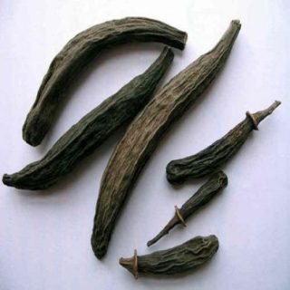 maraathi moggu, Ceiba pentandra