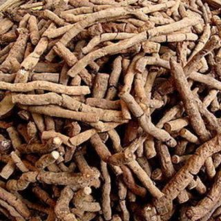 nannari, Hemidesmus indicus root
