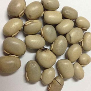 poonaikali, Mucuna pruriens seeds
