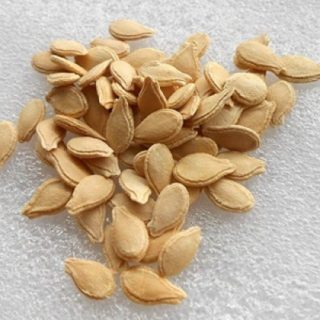pumpkin seeds