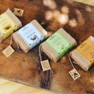 rudra natural sandal soaps