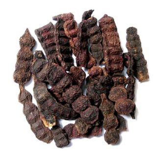 shikakai, Acacia concinna
