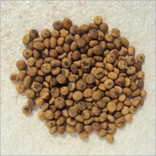 thetrankottai seeds